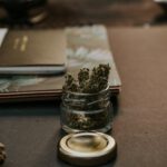 pexels-photo-1466335