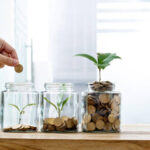 Woman putting coin in the jar with plant.